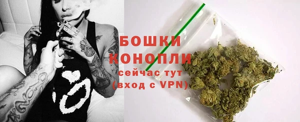 ешки Осинники