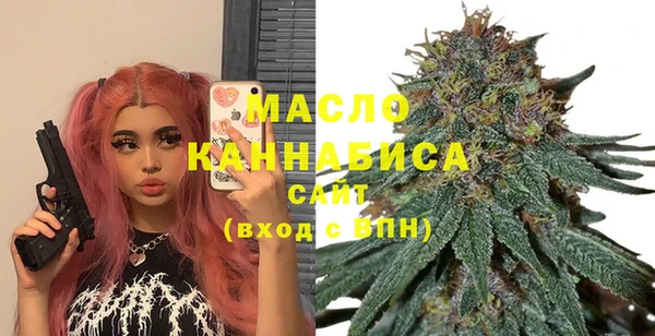 крисы Елабуга