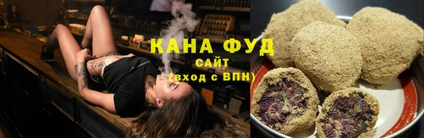 крисы Елабуга